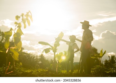 Dark Farmer And Children On Light Sunset Working In Organic Farmland, Happy Family People On Beautiful Light Sunny Landscape Background, Father And Daughter Looking Garden On Silhouette In Rural