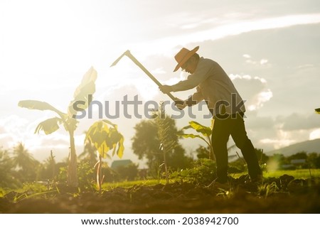 Dark farmer on light sunset working in organic farmland, man worker hoding hoe dig soil for planting the tree in garden, lifestyle of people in rural or countryside, bright light sunny on sky 