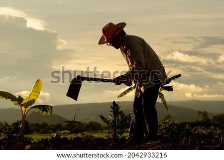 Dark farmer on light sunset working in organic farmland, gardener man holding hoe and dig soil for planting tree on hills and sky sunny background, worker wearing hat and happy working in rural