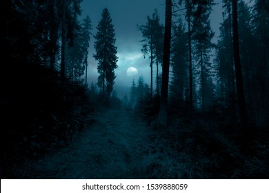 Dark, foggy, mysterious forest. Full moon on the sky. Halloween backdrop.