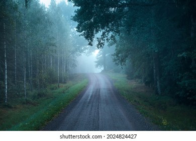 Dark Foggy Road In The Countryside