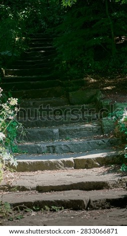 Dark, foreboding stone steps into the dark.