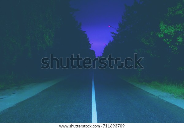 Dark forest asphalt\
road with a white dividing line directly vanishing into the\
distance at summer night. 