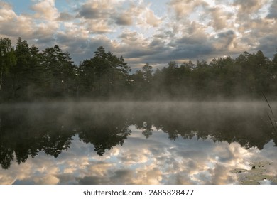 Dark forest and cloudy sky reflected in misty lake, both enchanting and creepy
