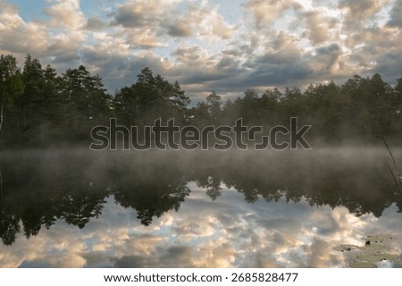 Dark forest and cloudy sky reflected in misty lake, both enchanting and creepy