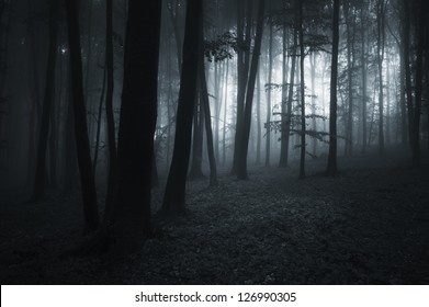 20,107 Eerie landscape Images, Stock Photos & Vectors | Shutterstock