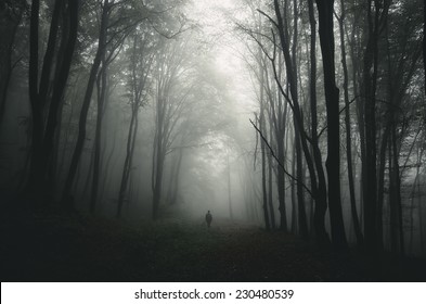 Dark Forest With Man Walking On Path