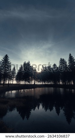 Dark Forest Mirror Reflection in Still Water – Moody Overcast Day. A perfectly mirrored reflection of dark evergreen trees in a still, shadowy pond under an overcast sky. ideal for moody wallpapers.