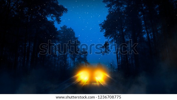 Dark forest, night view, fog, car\
headlight in the dark forest, dark road in the\
forest.