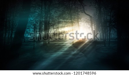 Dark forest, rays of sunlight through the trees, a magical forest