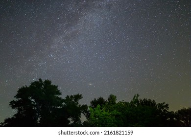 Dark Forest Silhouette Under Starry Sky, Night Outdoor Scene