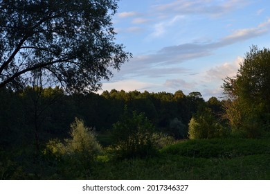Dark forest and sky at sunset