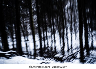Dark forest with strange light