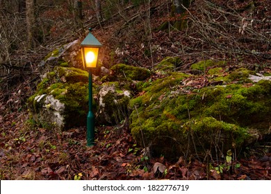 dark forest street lantern yellow illumination moody scary outdoor atmosphere of golden season in October and November time 