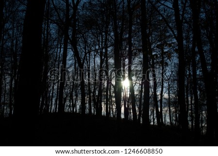 Dark Forest Sunset Night Background Wallpaper Stock Photo Edit Now