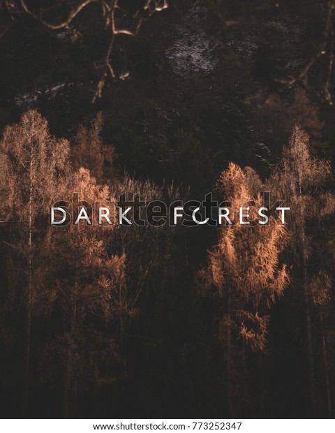 Dark Forest Text Stock Photo 773252347 | Shutterstock