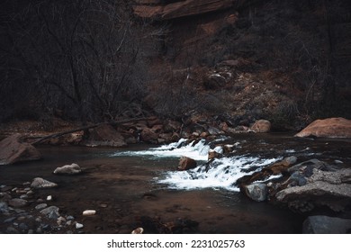 Dark Forest Theme - Zion National Park - Powered by Shutterstock