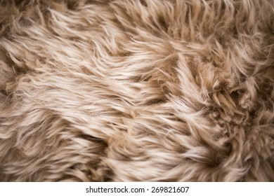 Dark Fur Texture