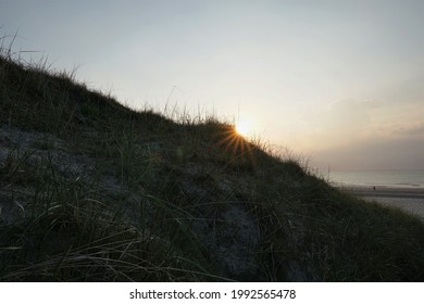 Dark Grass Silhouette And Beautiful Sunset On The Populated East Frisian Island Of The North Sea Coast Of Germany. Summer Nature Of Norderney. - Powered by Shutterstock