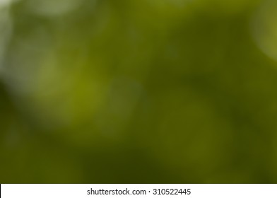 Dark Green Bokeh Abstract Background