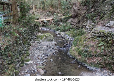 38,160 Dark Green Forest River Images, Stock Photos & Vectors ...