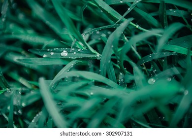 Dark Green Grass Background