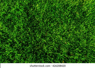 Dark Green Grass Field Stock Photo 426208420 | Shutterstock