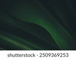 Dark green leaf texture, Natural green leaves using as nature background wallpaper or tropical leaf cover page