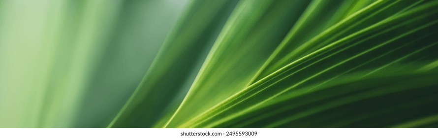 Dark green leaf texture, Natural green leaves using as nature background wallpaper or tropical leaf cover page