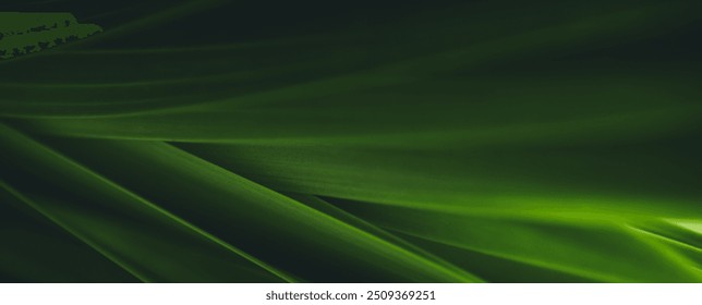 Dark green leaf texture, Natural green leaves using as nature background wallpaper or tropical leaf cover page - Powered by Shutterstock