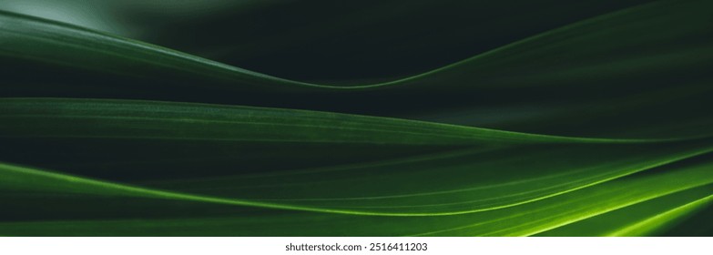 Textura la hoja verde