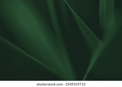 Dark green leaf texture, Natural green leaves using as nature background wallpaper or tropical leaf cover page