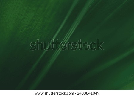 Dark green leaf texture, Natural green leaves using as nature background wallpaper or tropical leaf cover page
