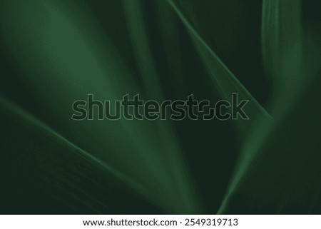 Dark green leaf texture, Natural green leaves using as nature background wallpaper or tropical leaf cover page