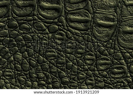 Dark green leather texture background, closeup. Reptile olive skin, macro. Nature structure of textile. Luxury crocodile decorative backdrop.