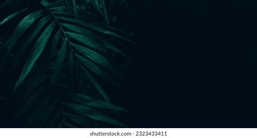 
Dark green leaves background. Minimal neutral aesthetic. Tropical plant art texture. Botanical tropic garden creative layout banner. - Powered by Shutterstock