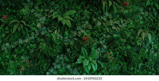 Dark green leaves in the park background image,Panorama - Powered by Shutterstock