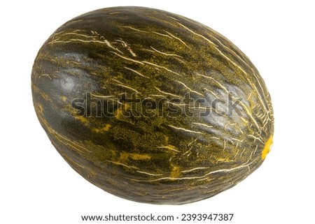 A dark green Santa Claus or Christmas melon isolated on white background
