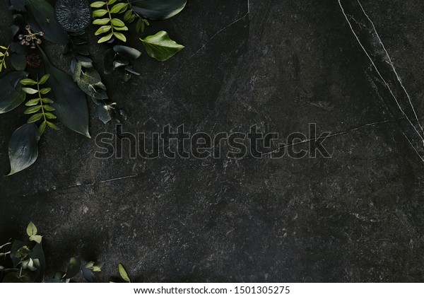 Download Dark Green Tropical Leaves Mockup On Stock Photo Edit Now 1501305275