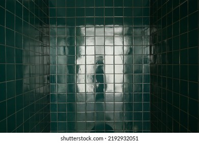 dark green wall bathroom, interior design - Shutterstock ID 2192932051