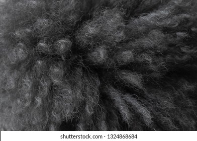 Dark Grey Curly Fur Of Poodle Dog Texture Background.