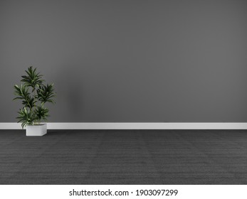 Dark grey wall and carpet background with plant (3D)