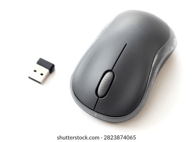 A dark grey wireless computer mouse stands next to its small USB receiver on a clean white background