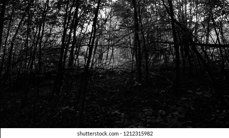 Dark Grunge Forest, Halloween Wallpaper, Spooky Landscape