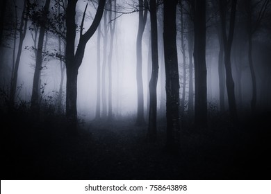 Dark Halloween Forest Landscape Stock Photo 758643898 | Shutterstock