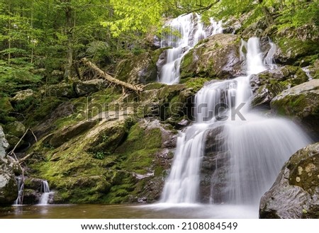 Dark Hollow Falls is a popular destination in Shenandoah National Park, Virginia, USA