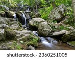 Dark Hollow Falls - Shenandoah National Park