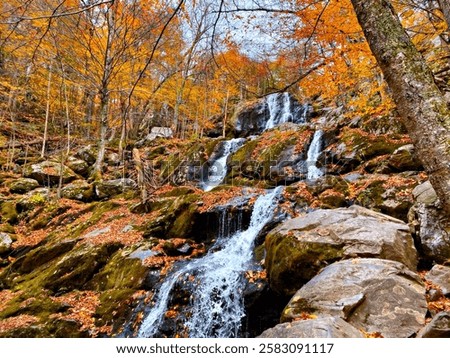 Dark Hollow Falls in Shenandoah National Park, Virginia