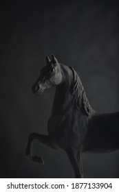 Dark Horse Wallpaper Elegant Black