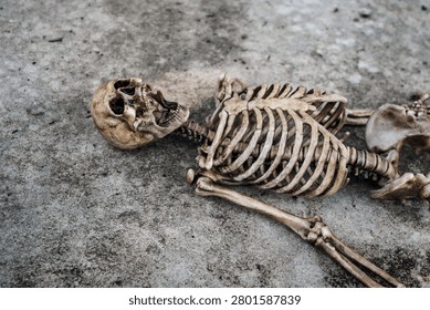 Dark Human skeleton model lying on old abandoned concrete floor. view of skull and rib cage. concept of forensic science, death mystery and crime scene investigation.